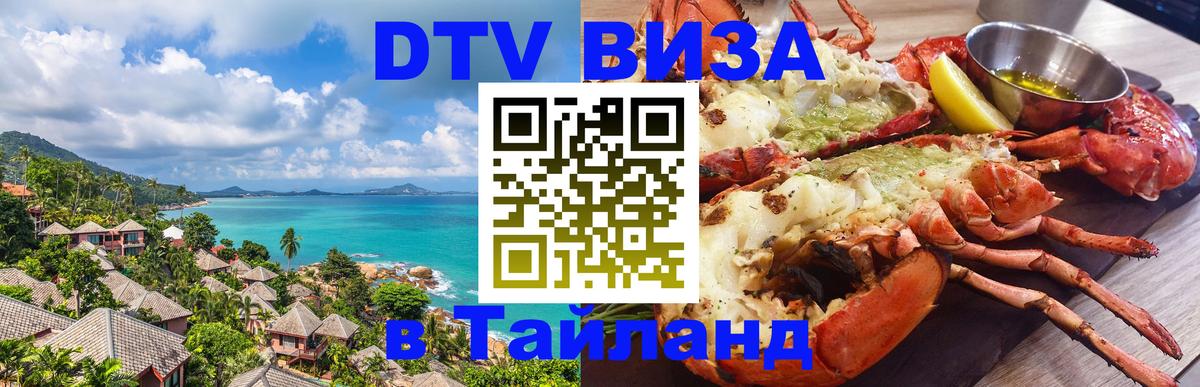 Оформление DTV визы под ключ: стоимость и тарифы, только загранпаспорт - Бердск 